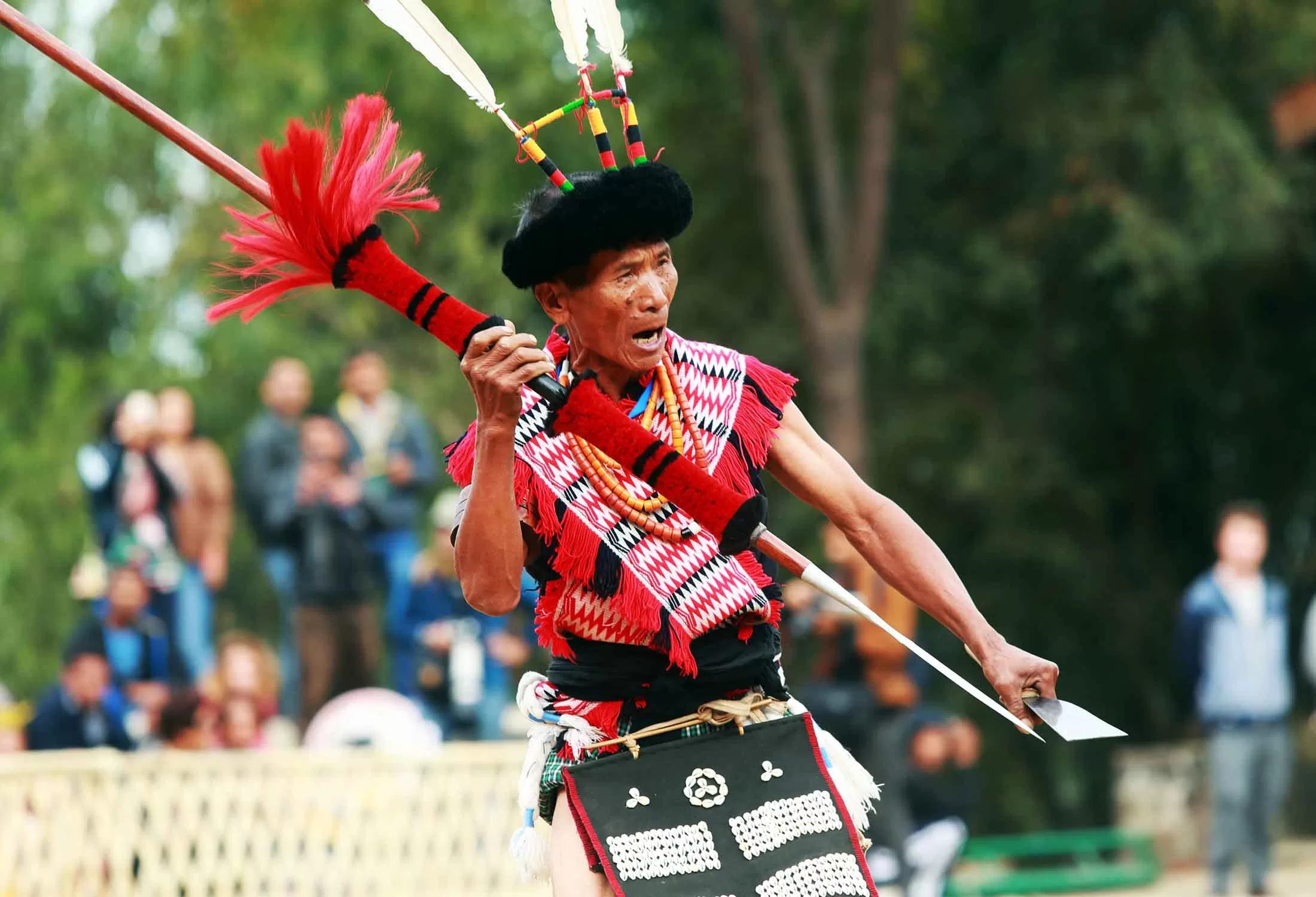 Hornbill Festival 2