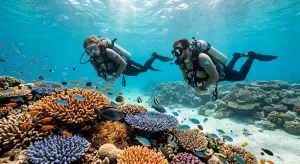 Lakshadweep
